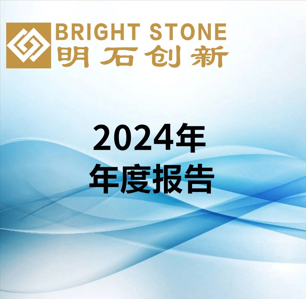 2024年年度報告