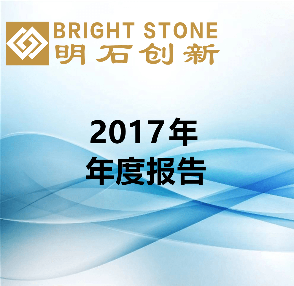 2017年年度報告