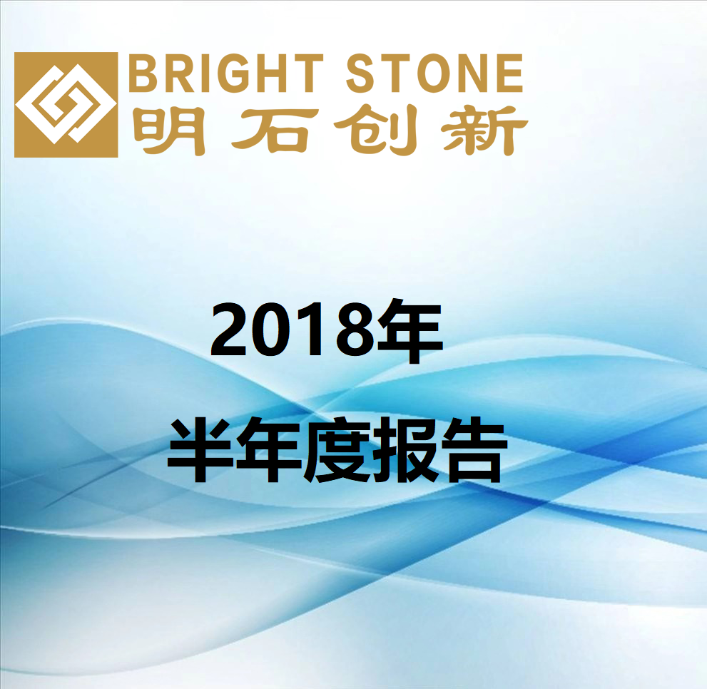 2018年半年度報告