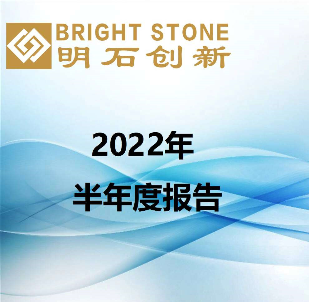 2022年半年度報告